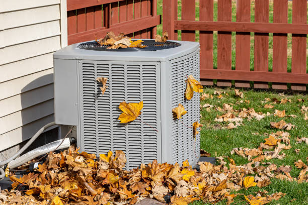 Best Affordable HVAC services  in Olive Hill, KY