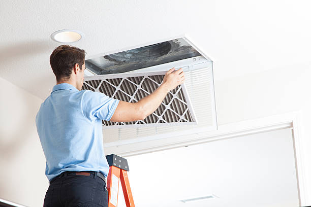 Best HVAC cleaning services  in Olive Hill, KY